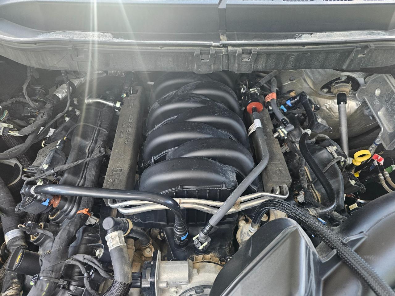 Ford F-150 4WD Reg Cab 141" XL 2021