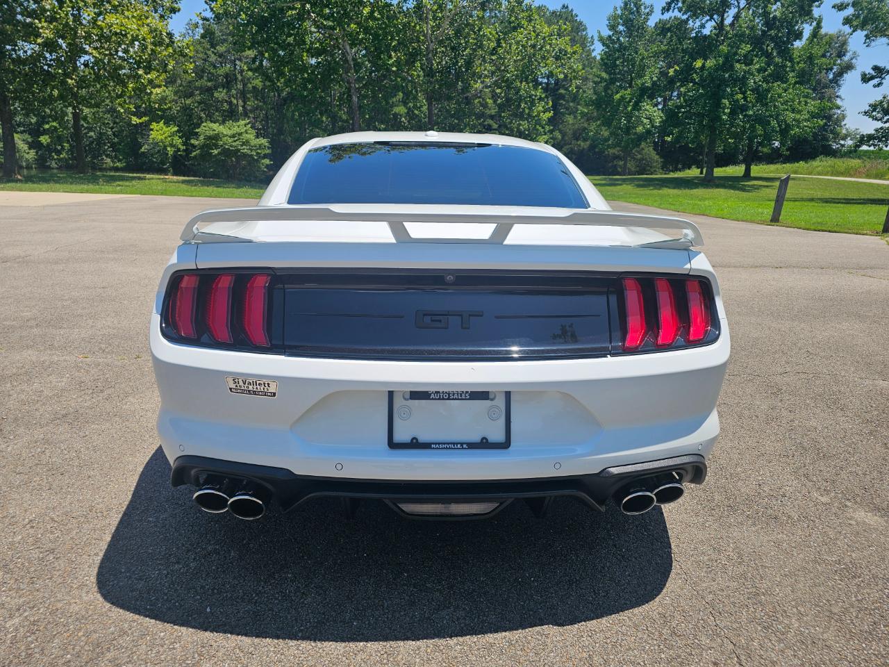 Ford Mustang GT Fastback 2019
