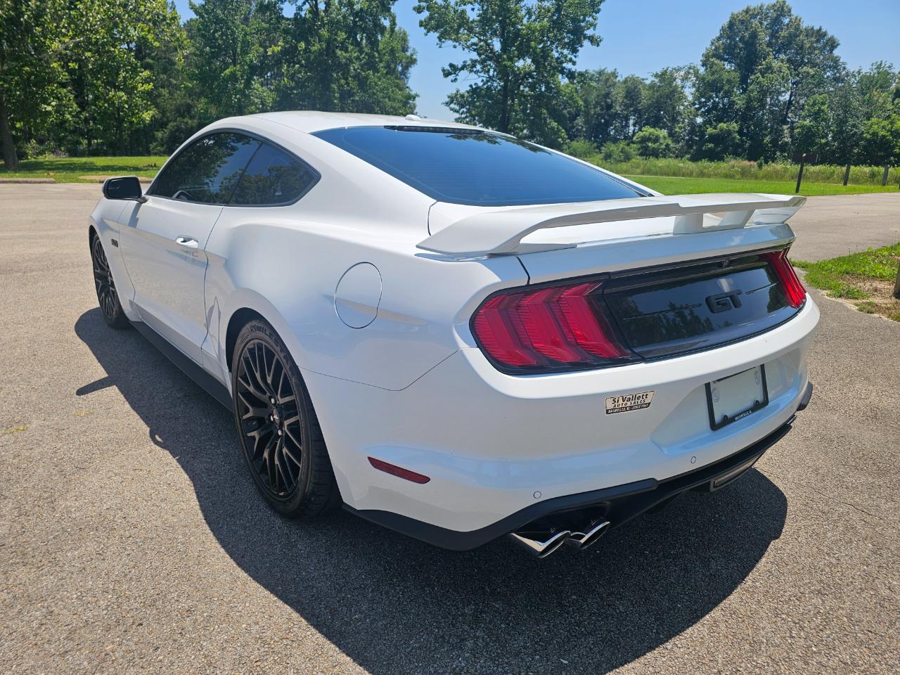 Ford Mustang GT Fastback 2019