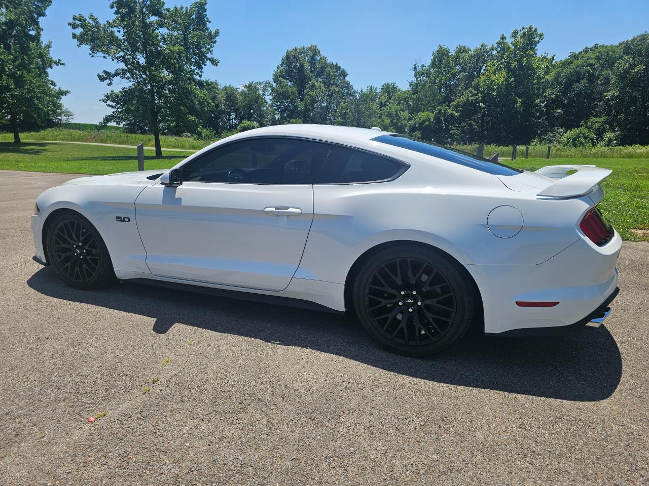 Ford Mustang GT Fastback 2019