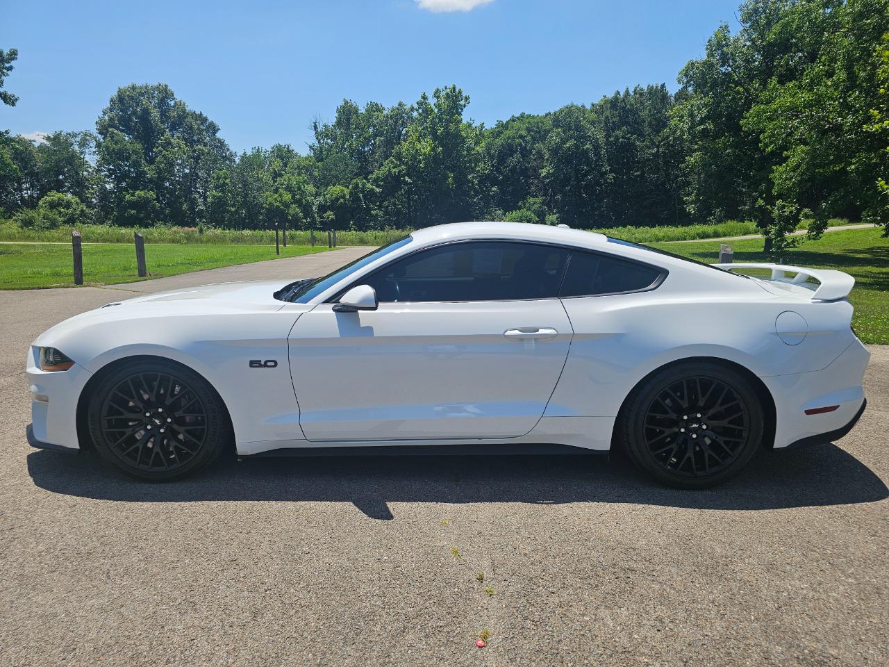 Ford Mustang GT Fastback 2019