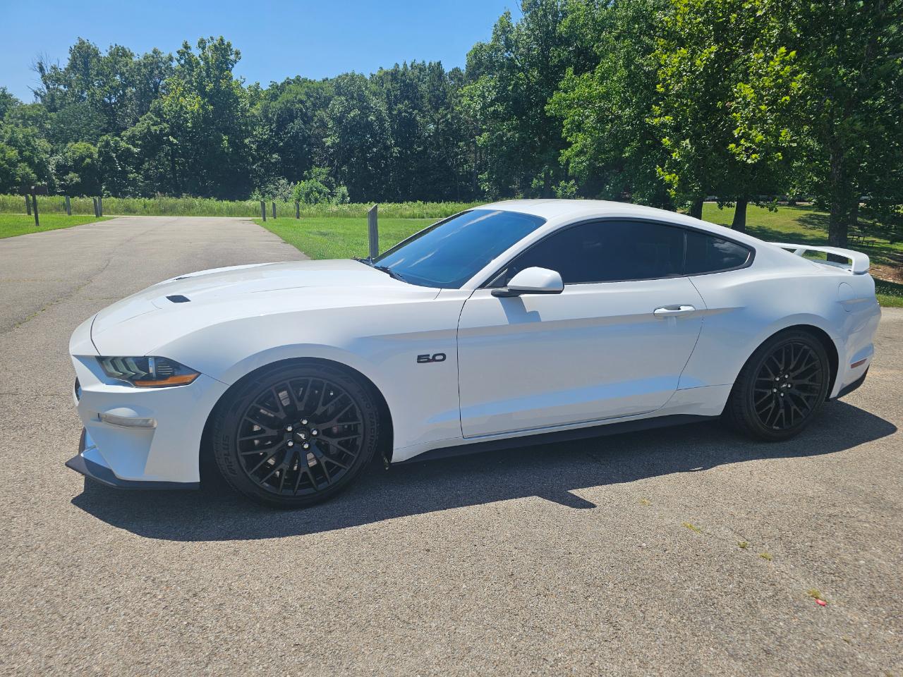 Ford Mustang GT Fastback 2019