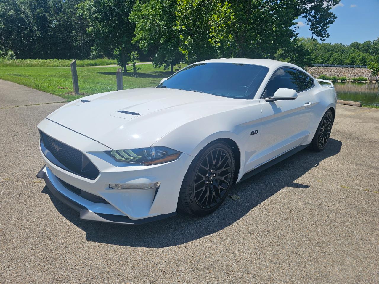 Ford Mustang GT Fastback 2019