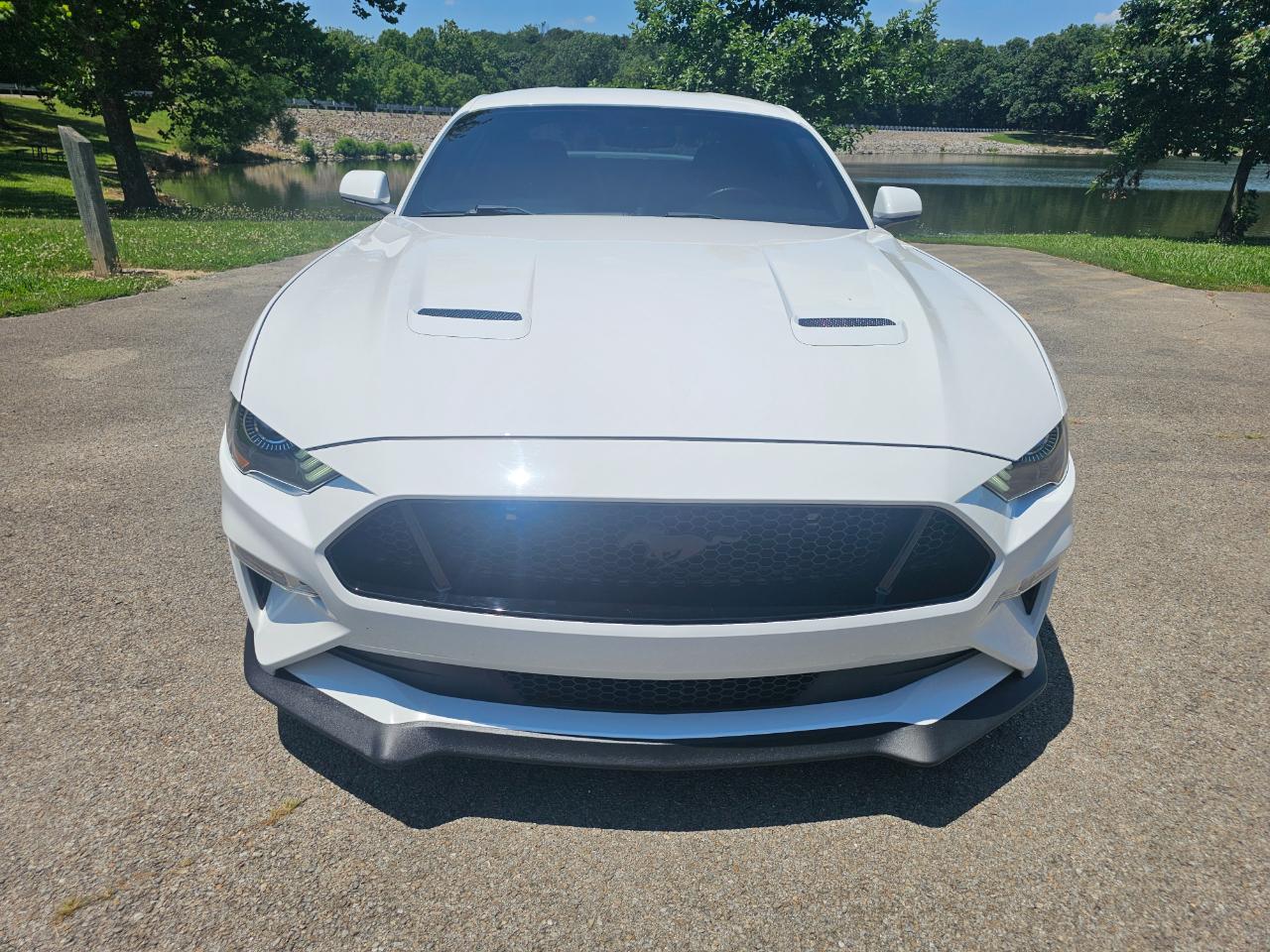 Ford Mustang GT Fastback 2019