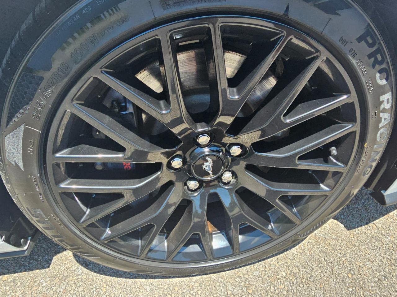 Ford Mustang GT Fastback 2019