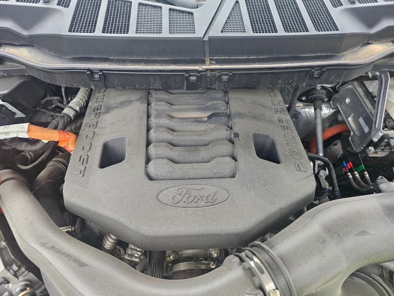 Ford F-150 King Ranch 4WD SuperCrew 5.5' Box 2023