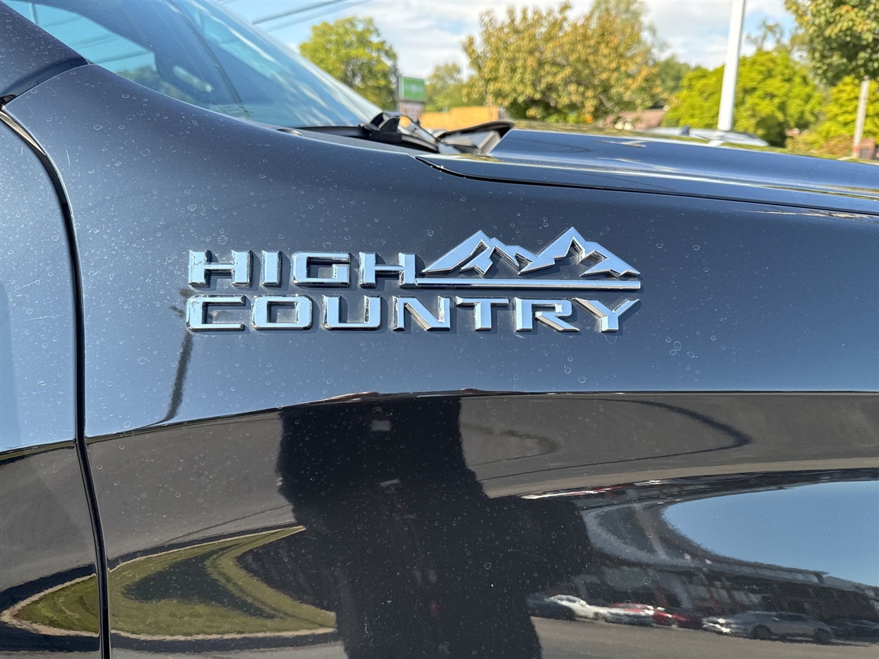 Chevrolet Silverado 1500  2021