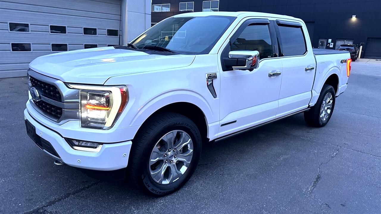 2021 Ford F-150 Platinum photo 2