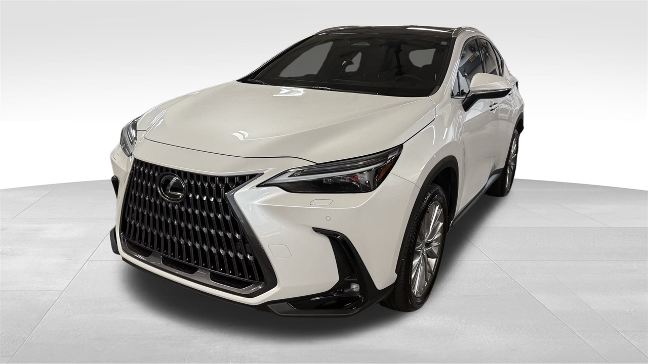 2024 Lexus NX 350 Luxury photo 2