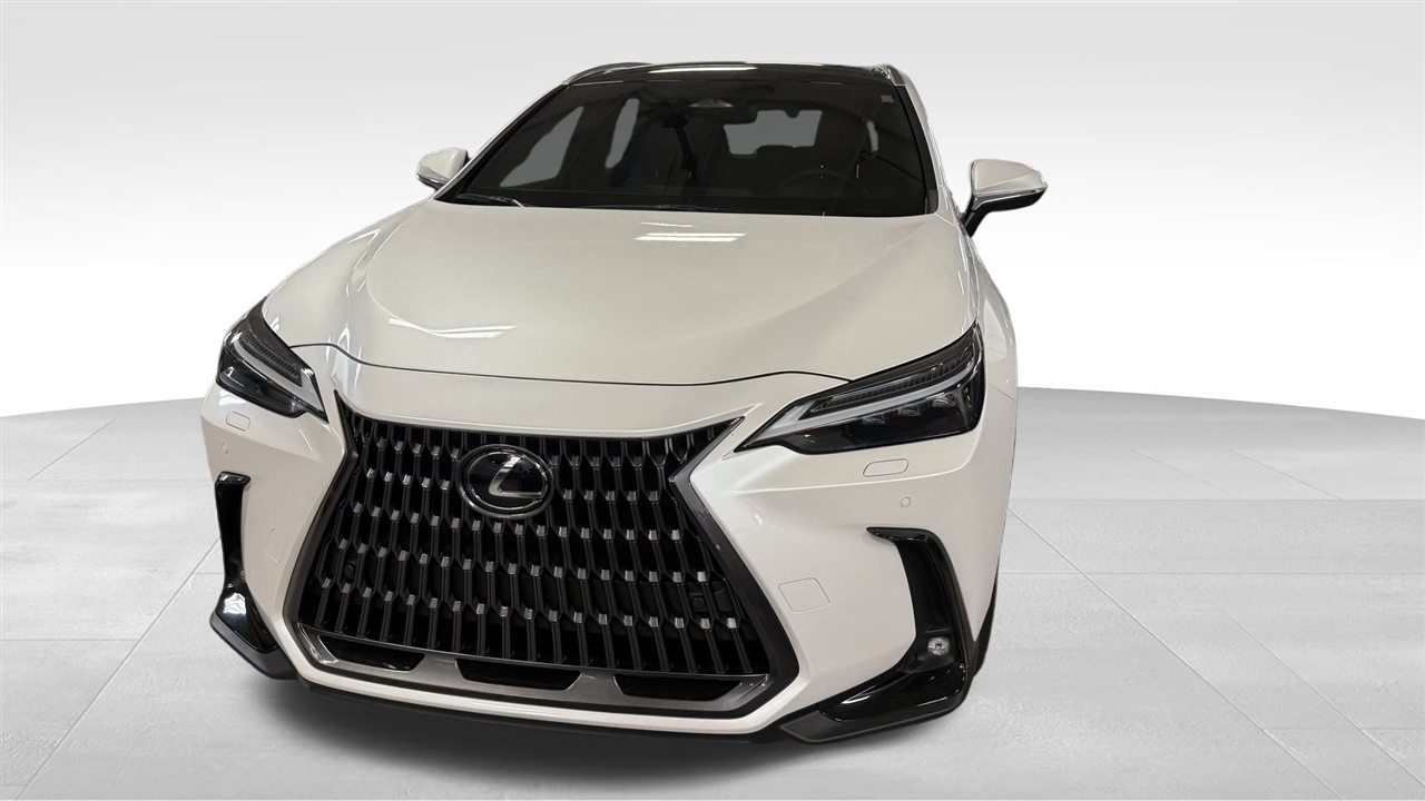 2024 Lexus NX 350 Luxury photo 3