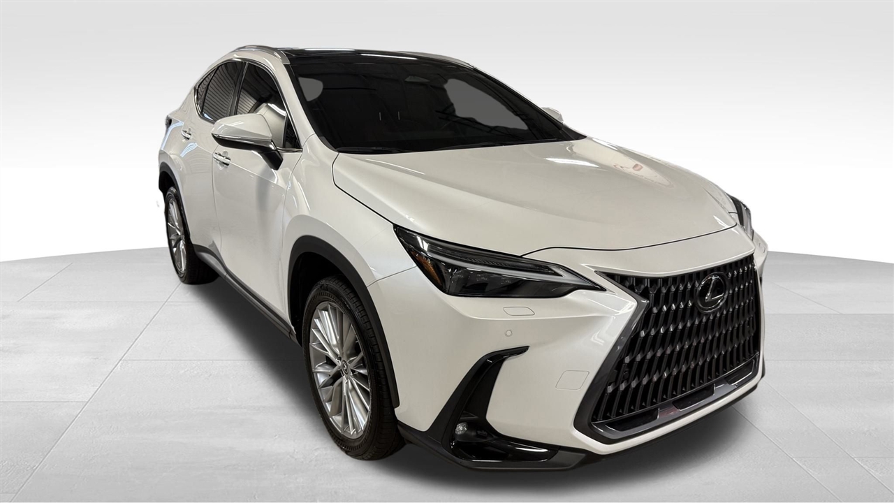 2024 Lexus NX 350 Luxury photo 4