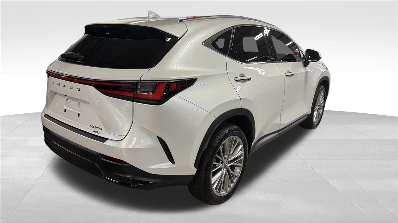 2024 Lexus NX 350 Luxury photo 6