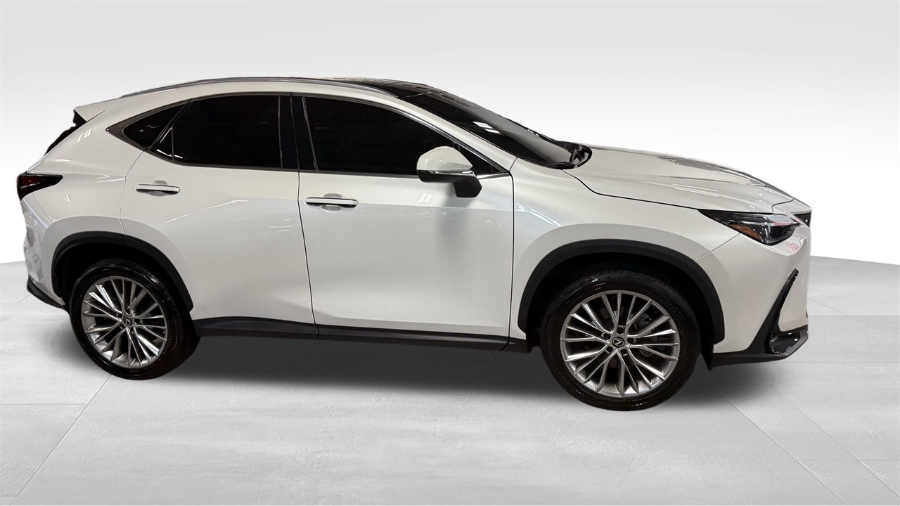 2024 Lexus NX 350 Luxury photo 7