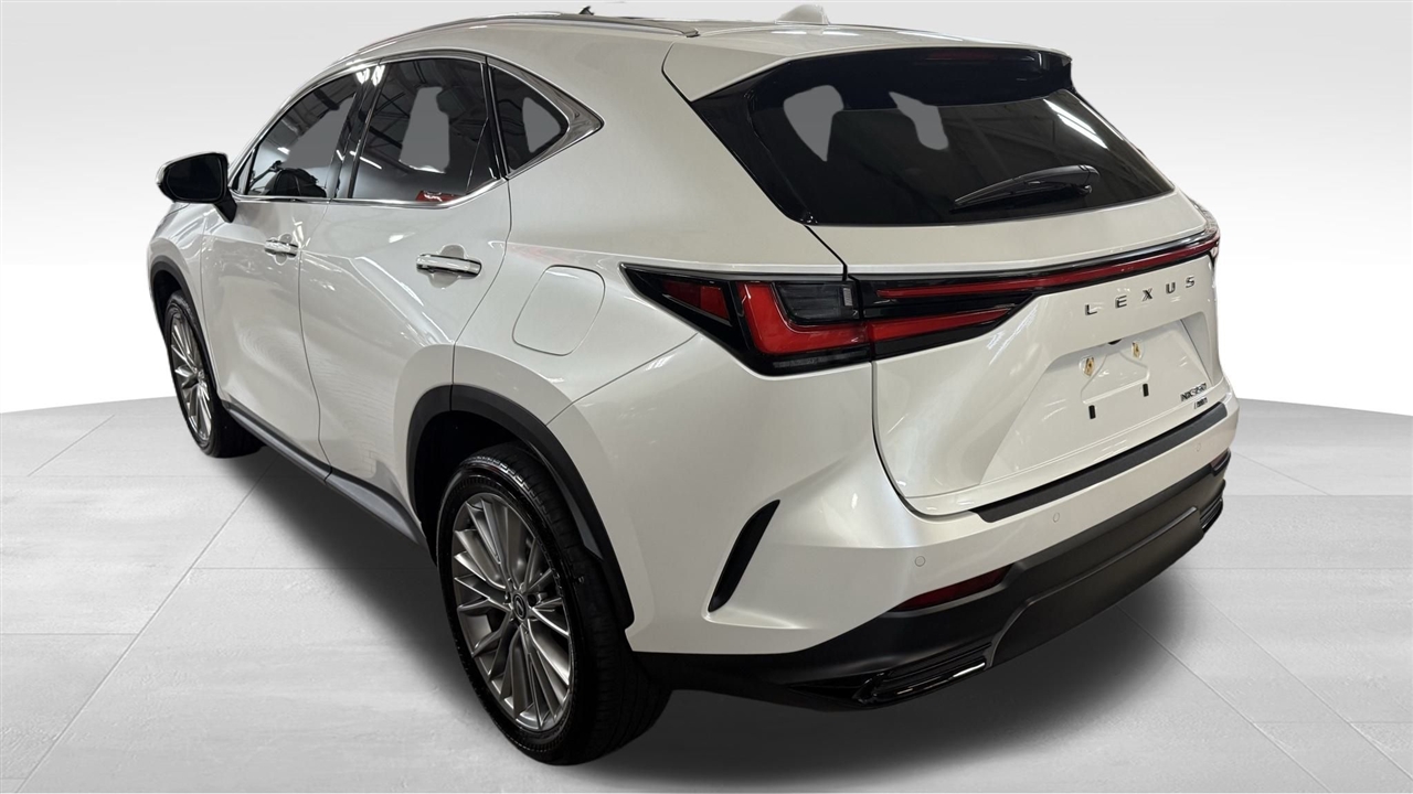 2024 Lexus NX 350 Luxury photo 8