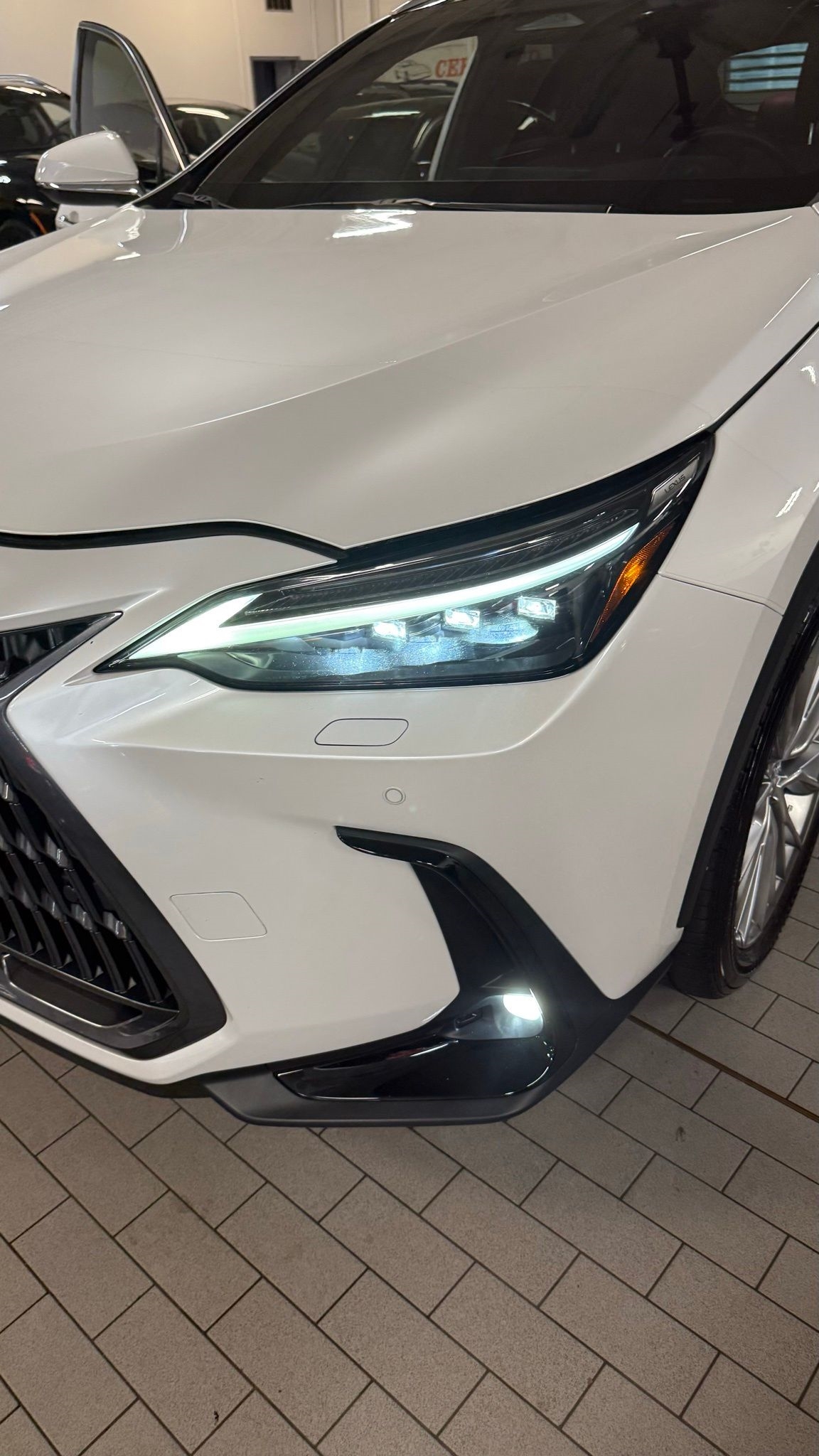 2024 Lexus NX 350 Luxury photo 10