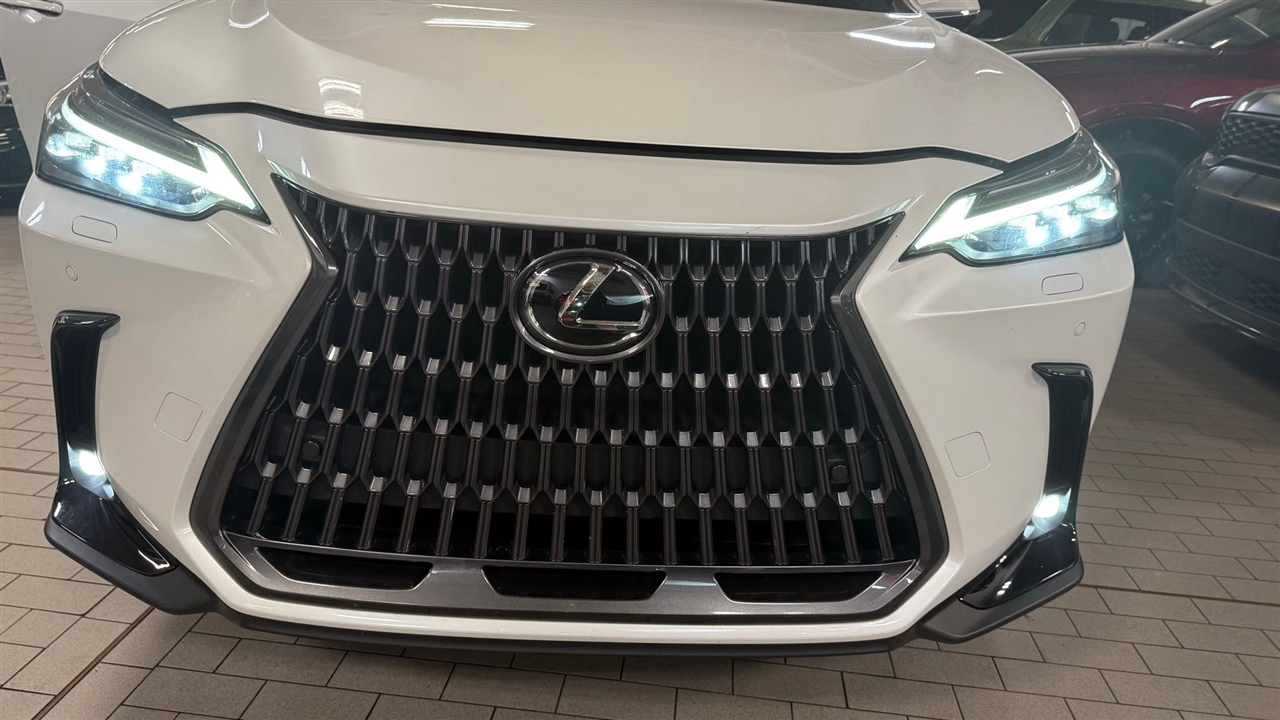 2024 Lexus NX 350 Luxury photo 12