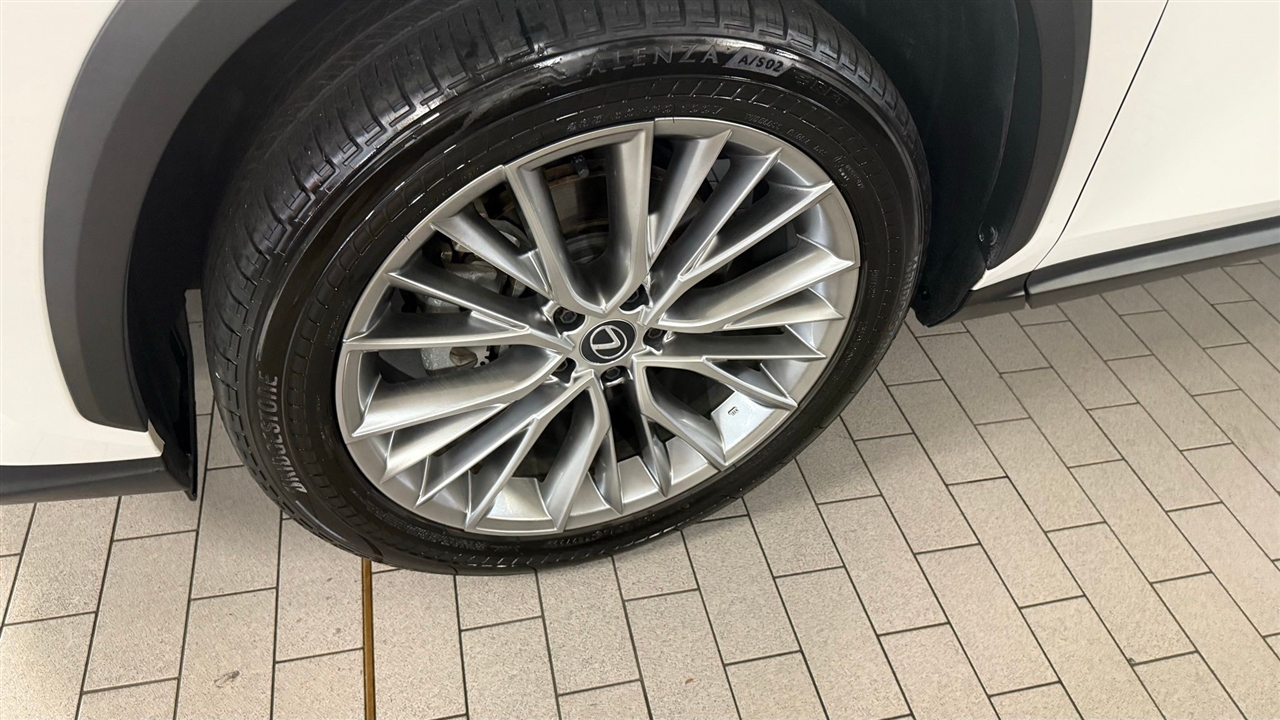 Lexus NX  2024 Lexus NX  2024