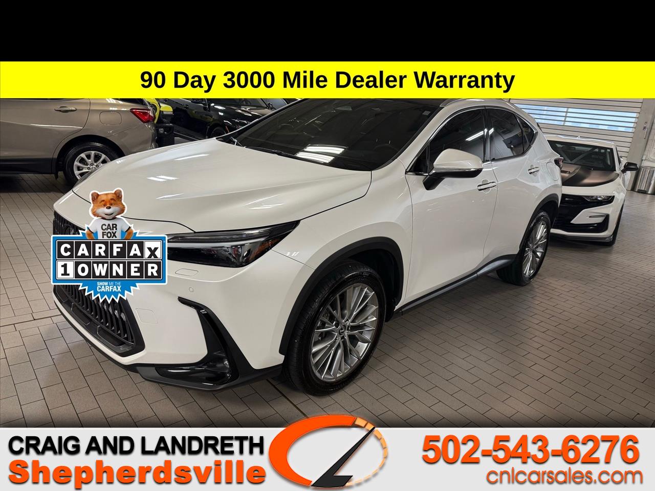 2024 Lexus NX 350 Luxury