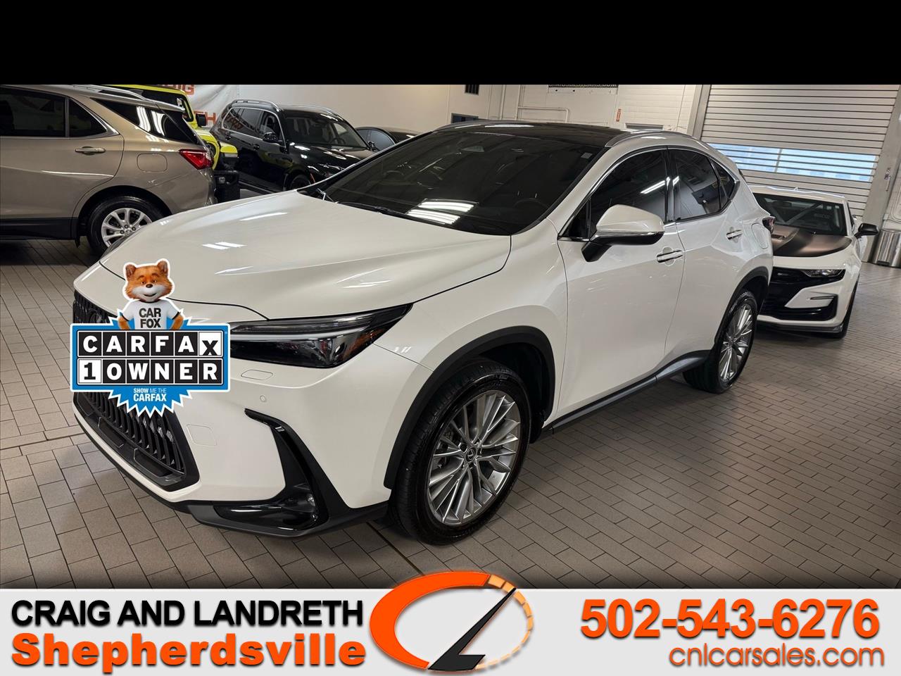 2024 Lexus NX 350 Luxury