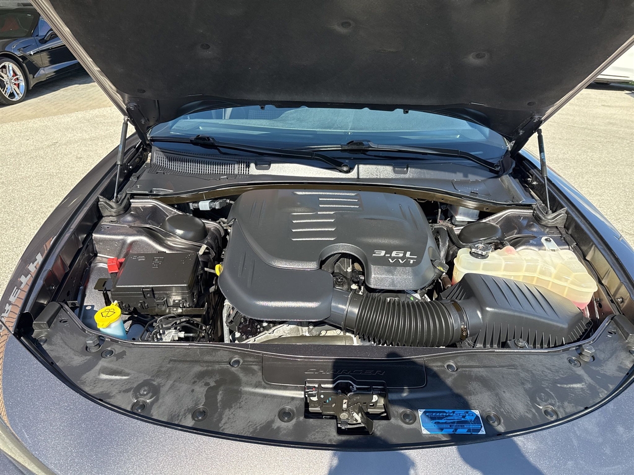 Dodge Charger  2023 Dodge Charger  2023