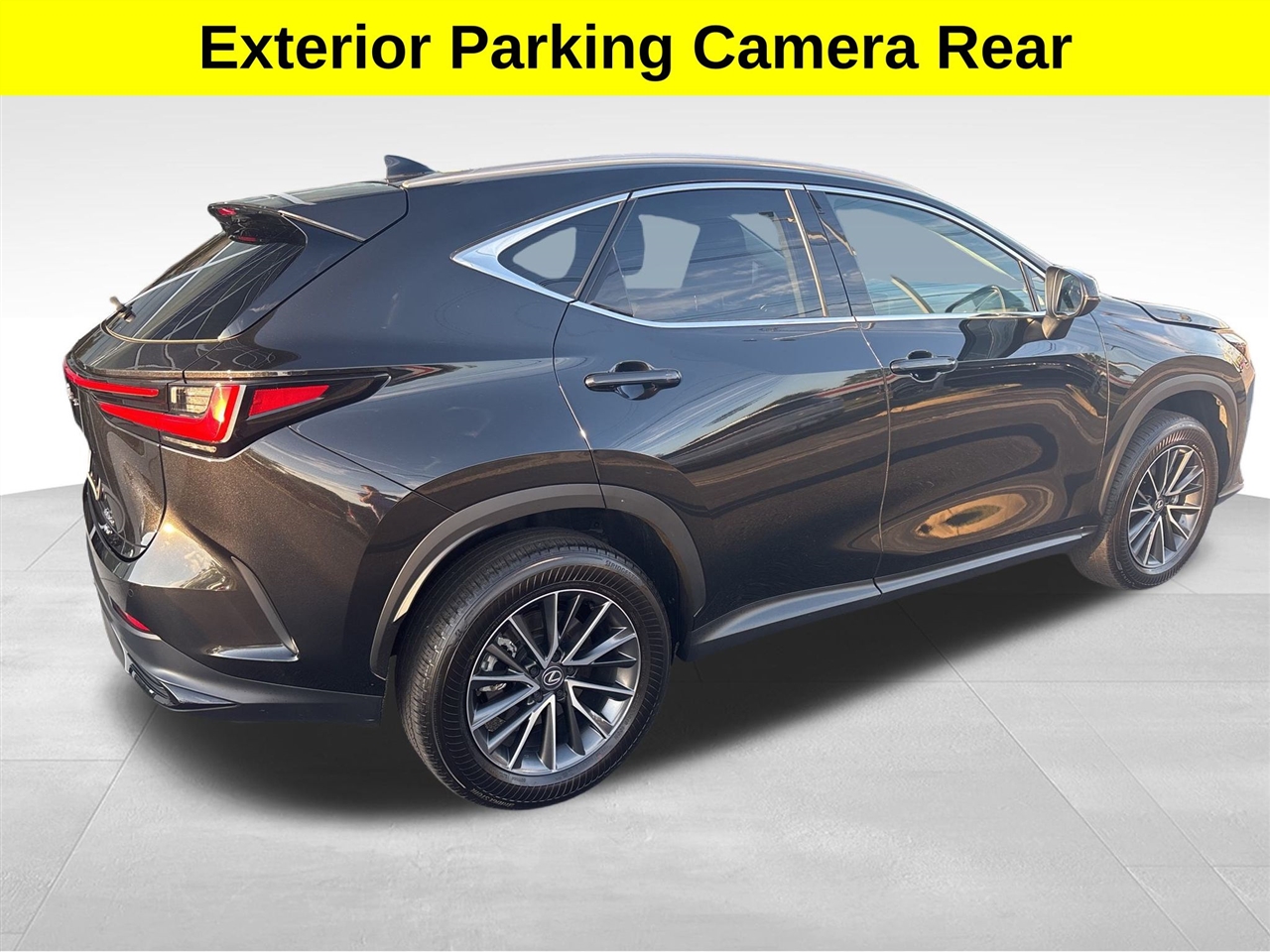 Lexus NX  2025 Lexus NX  2025