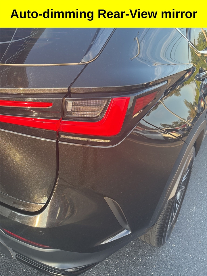 Lexus NX  2025 Lexus NX  2025