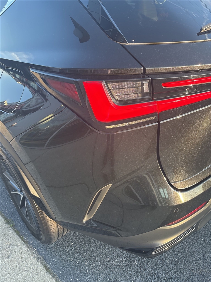 Lexus NX  2025 Lexus NX  2025