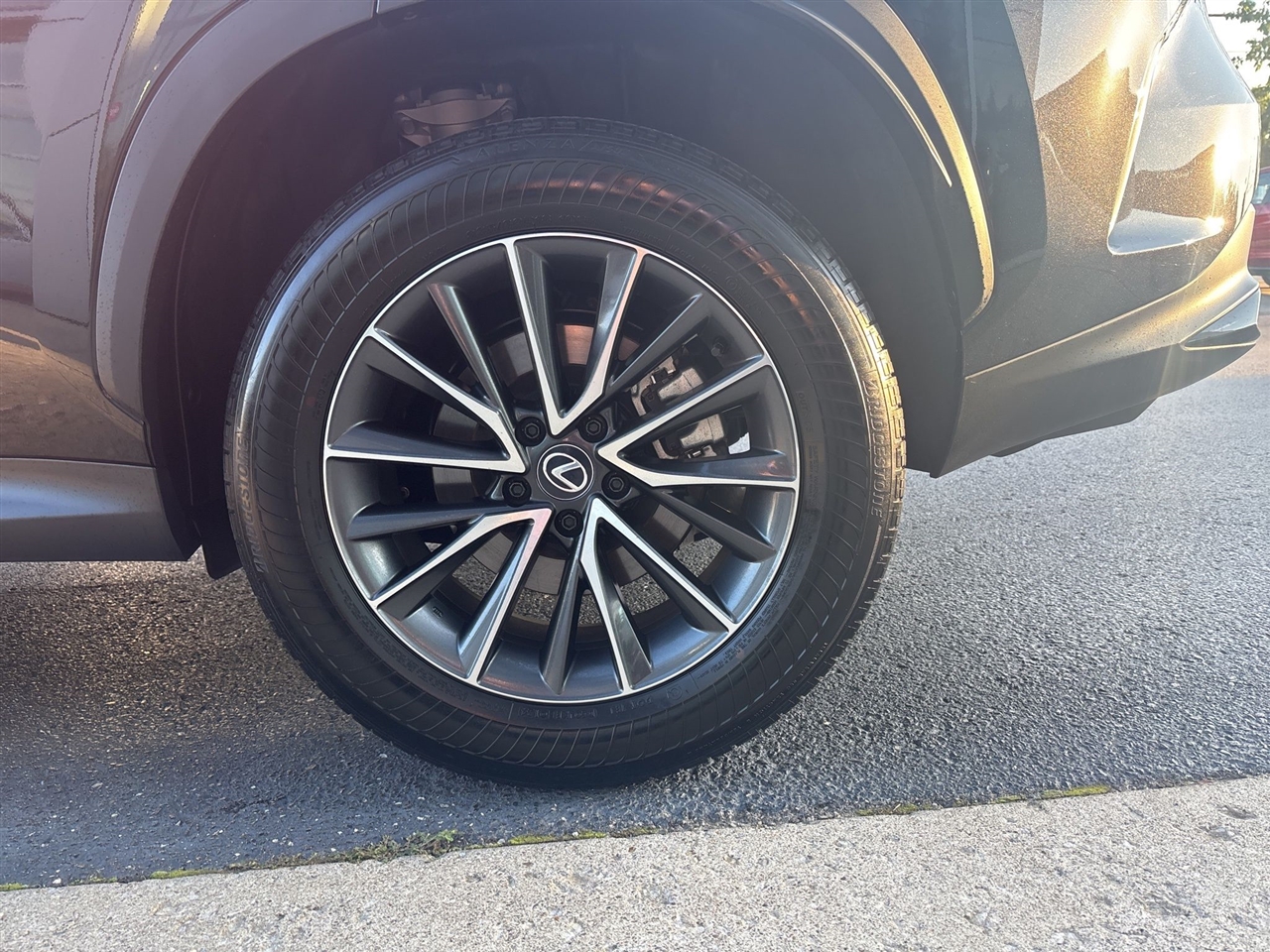 Lexus NX  2025 Lexus NX  2025