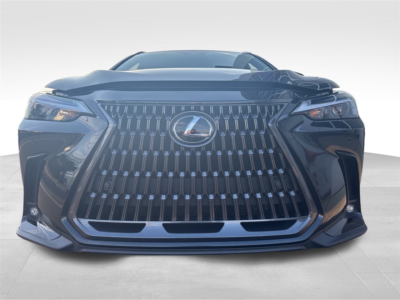 Lexus NX  2025 Lexus NX  2025