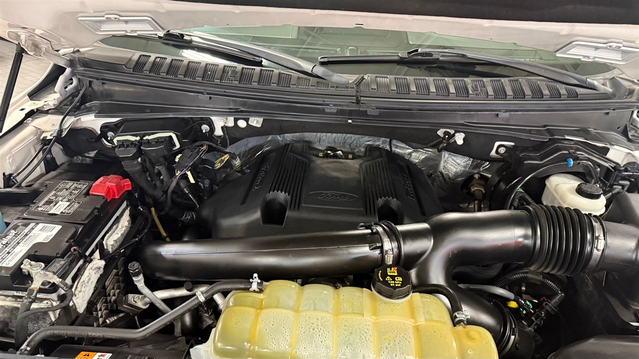 Ford Expedition  2019