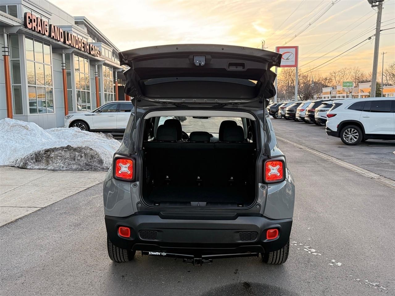 Jeep Renegade  2019
