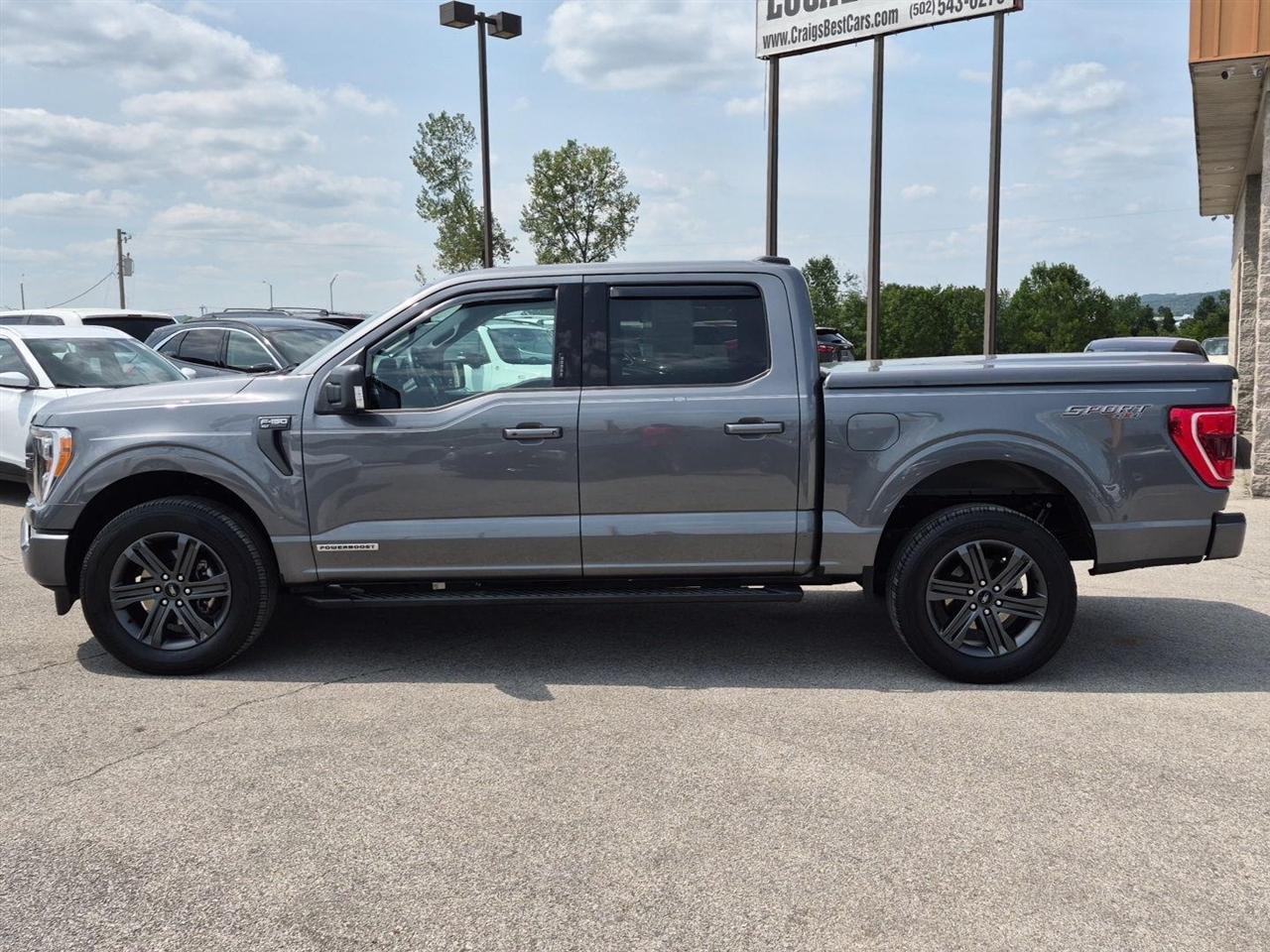 Ford F-150 XLT SuperCrew 5.5-ft. Bed 4WD 2023