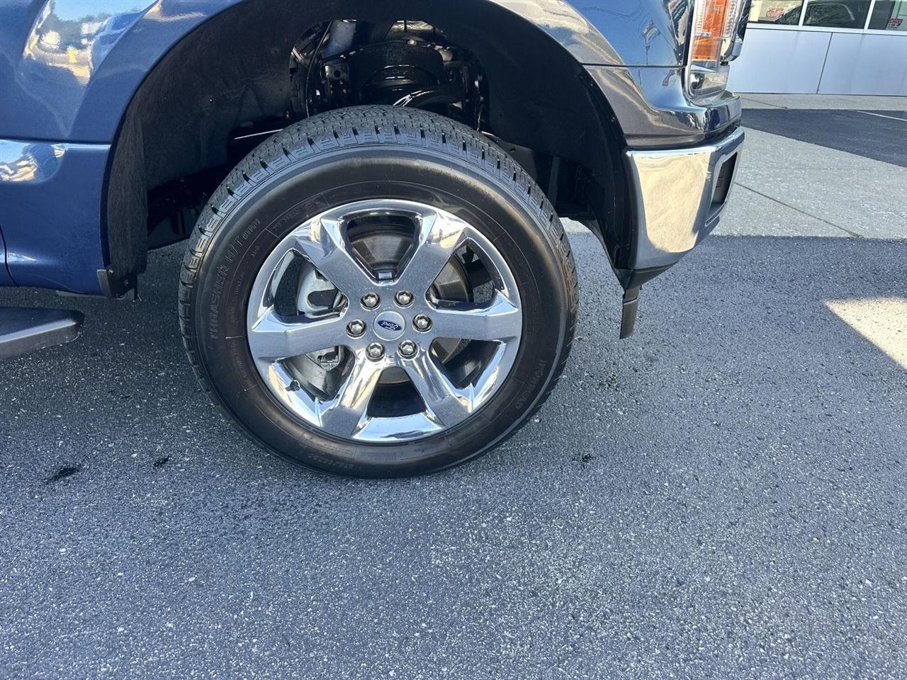 Ford F-150 XLT SuperCrew 6.5-ft. Bed 4WD 2019