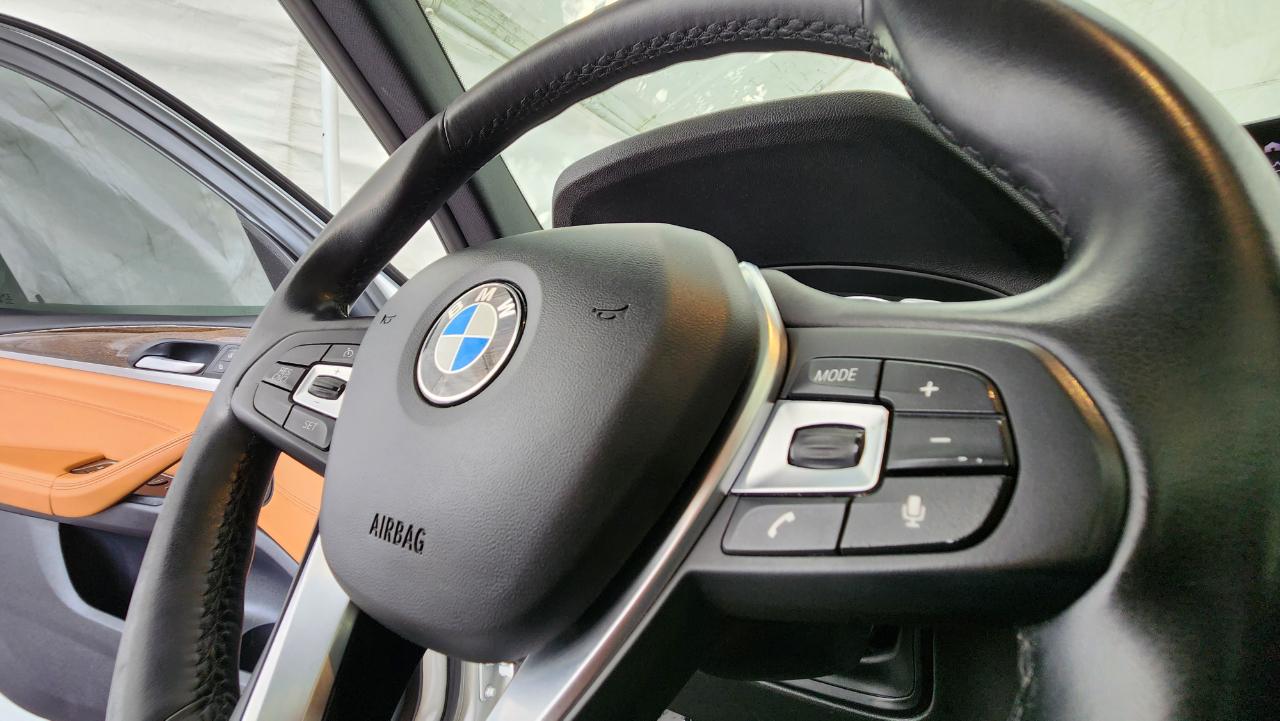 BMW X3 sDrive30i Sports Activity Vehicle 2019