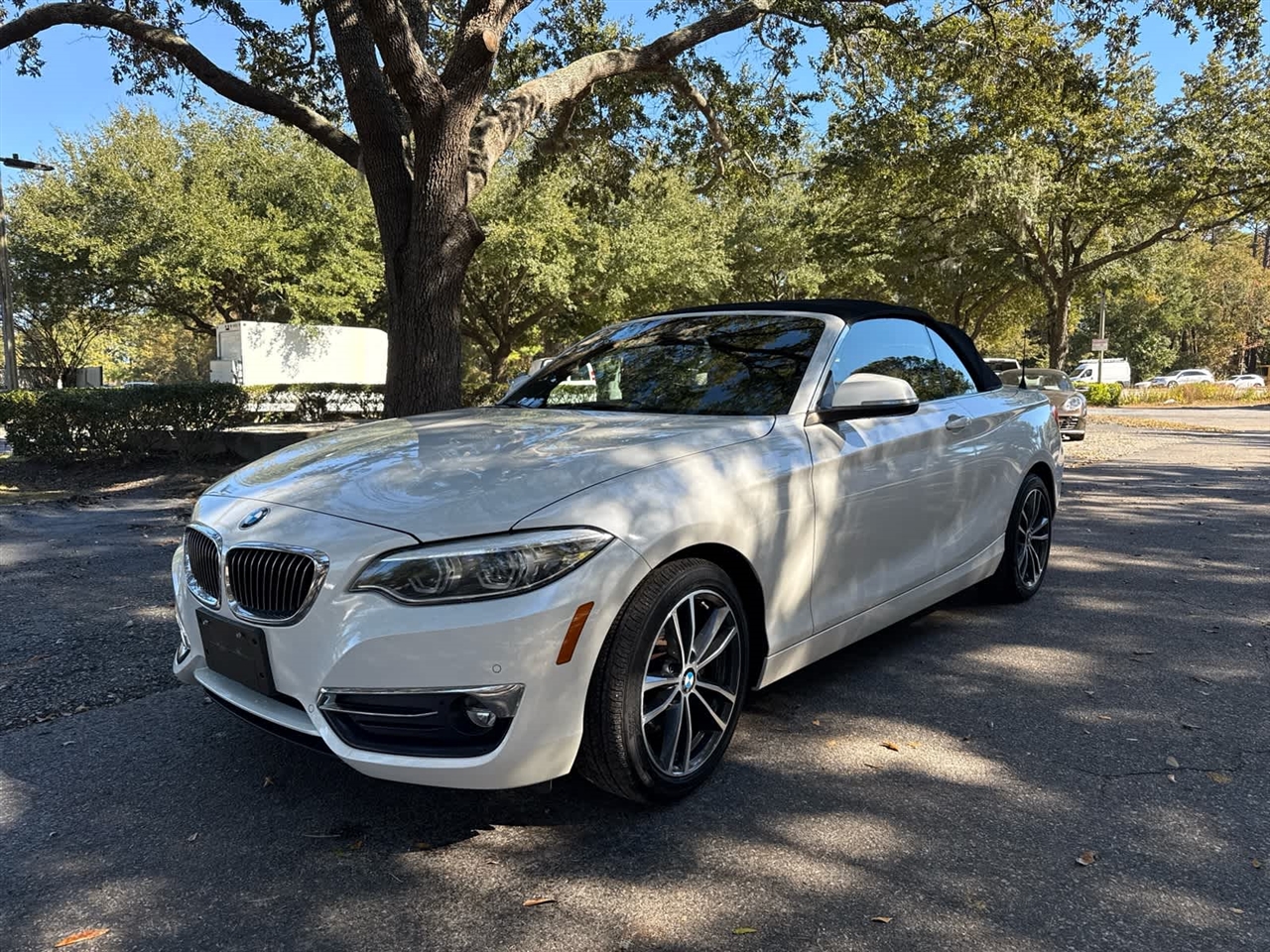 2019 Bmw 230i xDrive photo 2