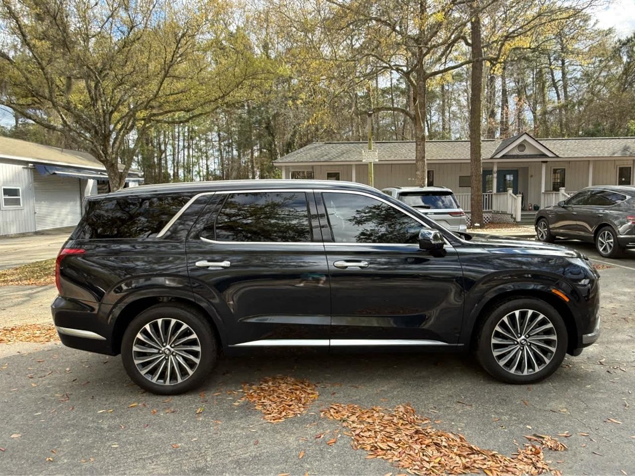 Hyundai Palisade  2025