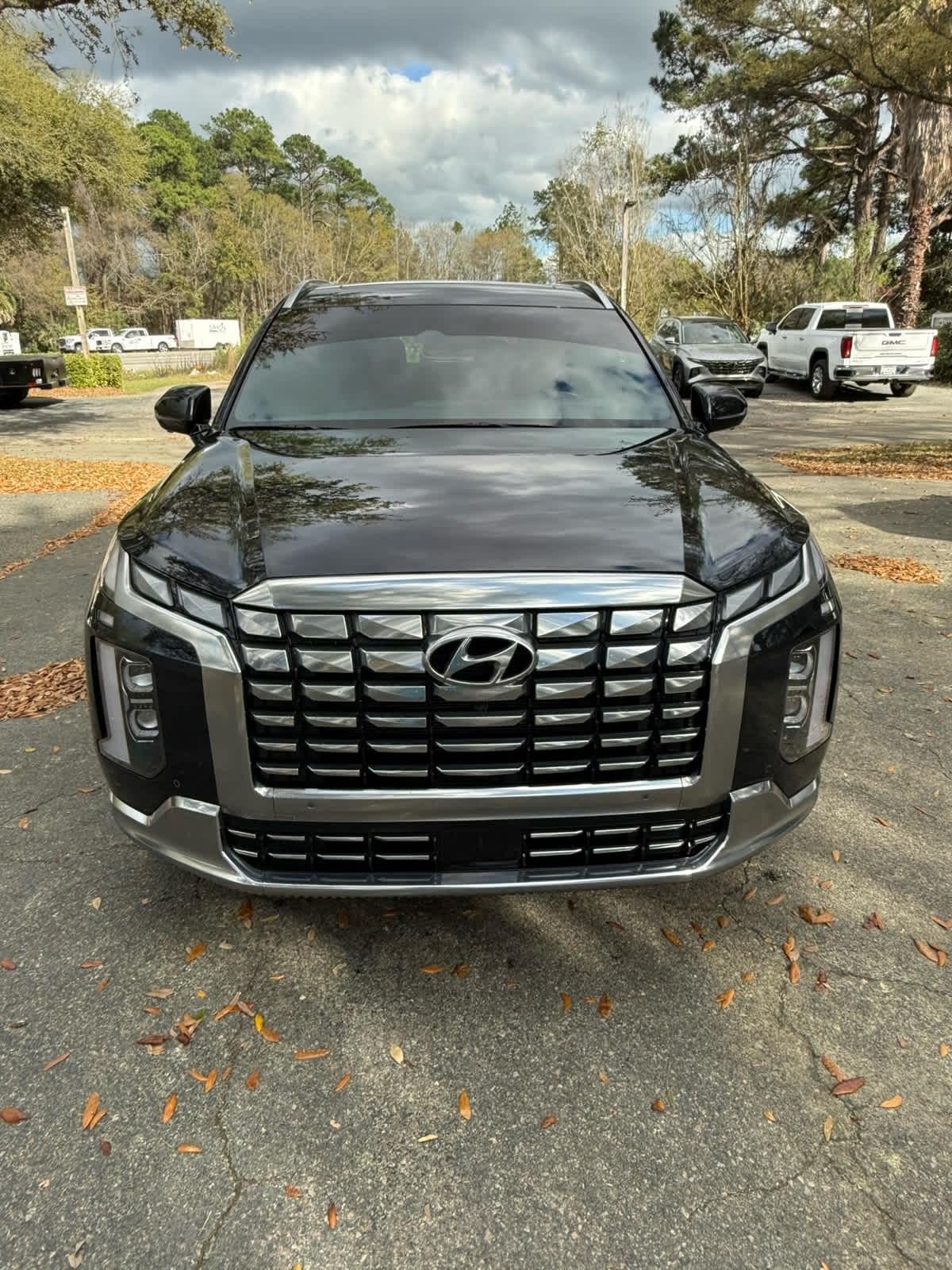 Hyundai Palisade  2025