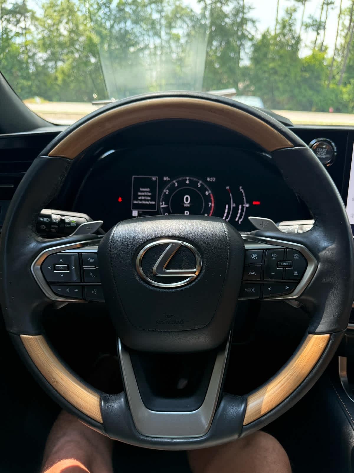 Lexus RX  2024