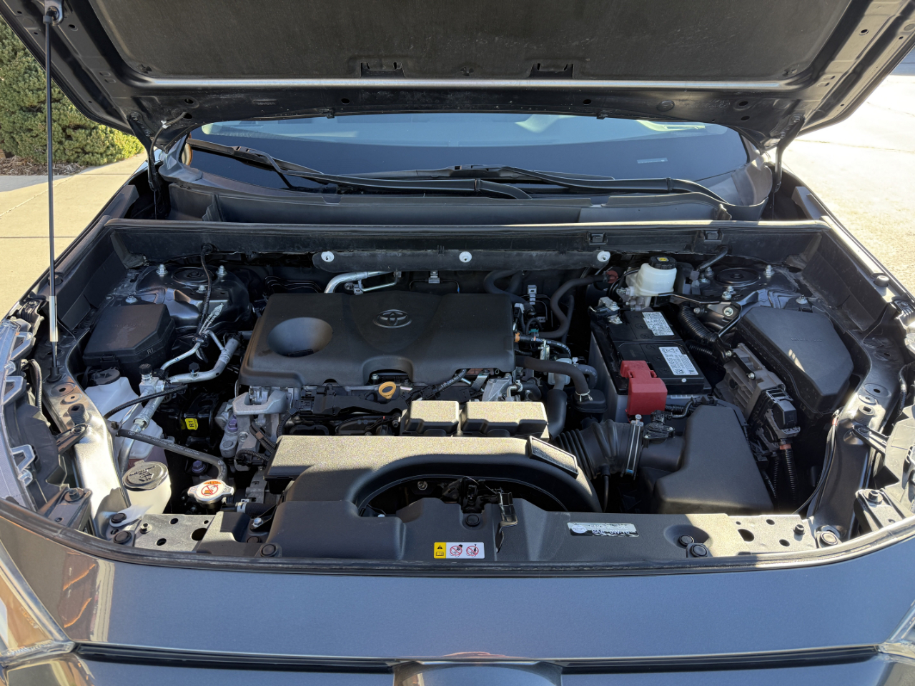 Toyota RAV4 XLE AWD (Natl) 2021