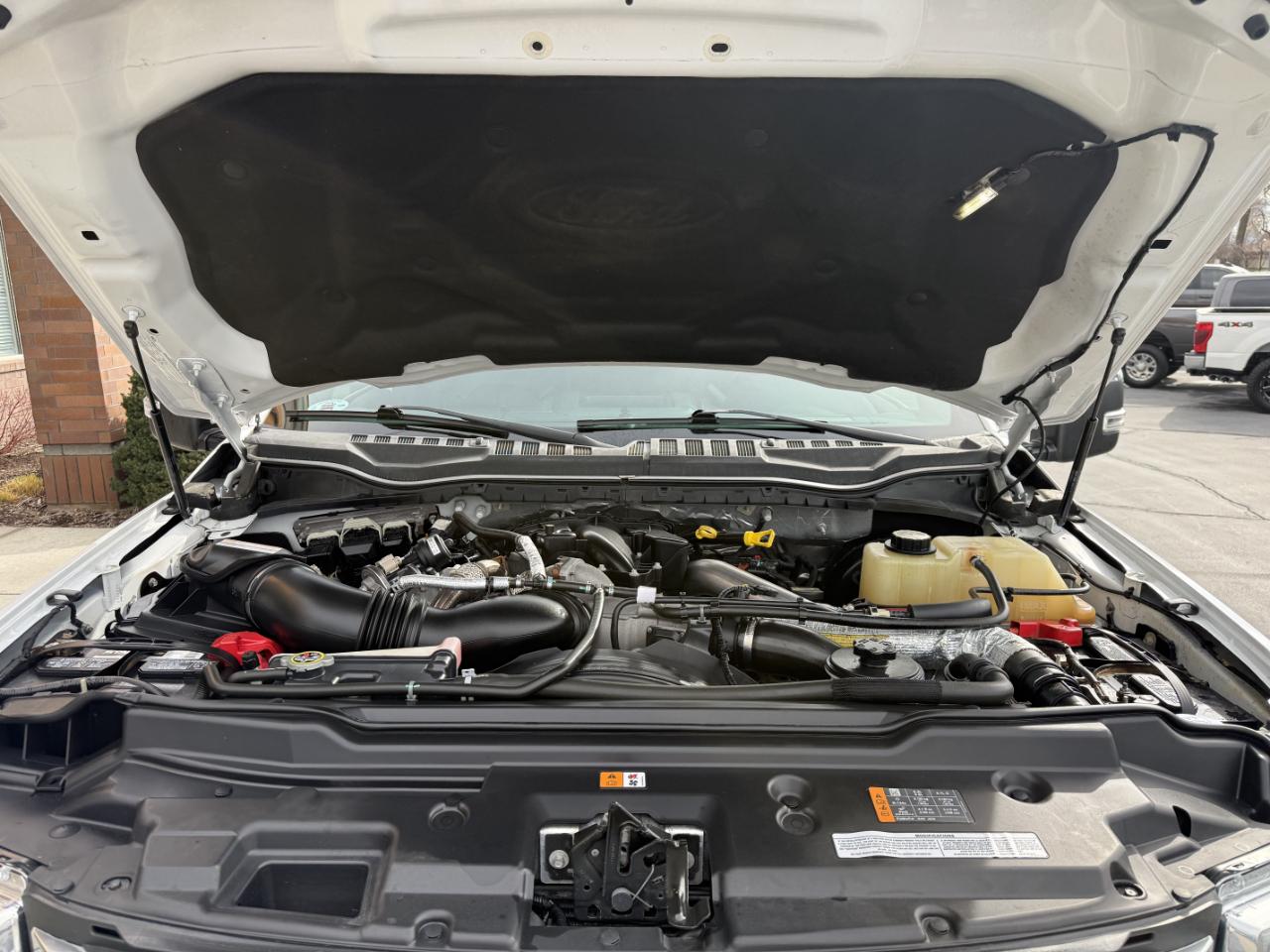 Ford Super Duty F-350 SRW Platinum 4WD Crew Cab 8' Box 2017