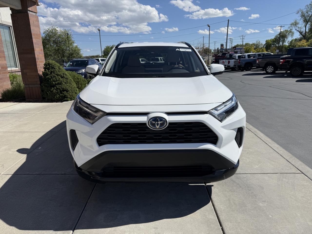 Toyota RAV4 Hybrid XLE AWD (Natl) 2022