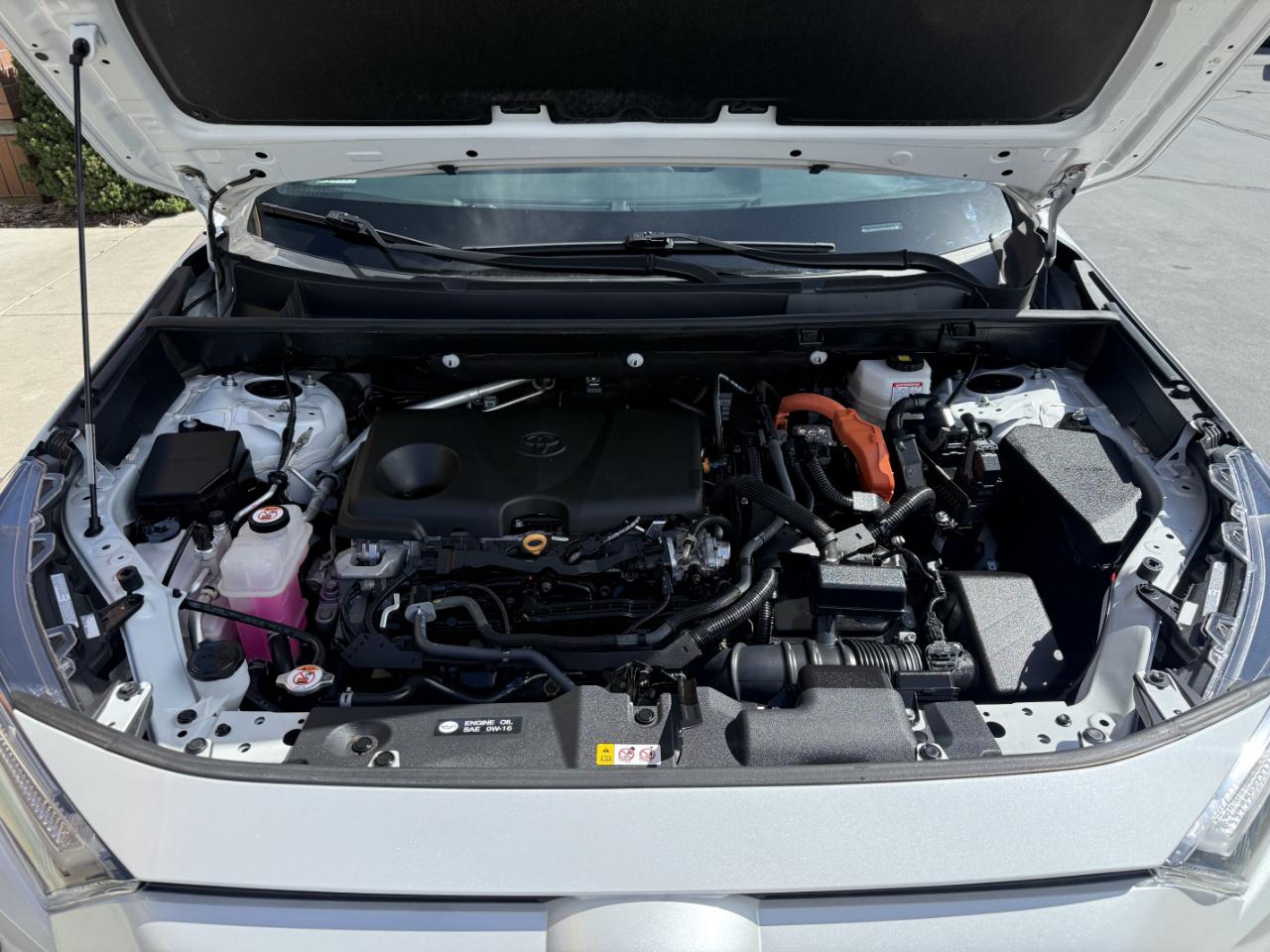 Toyota RAV4 Hybrid XSE AWD (Natl) 2023