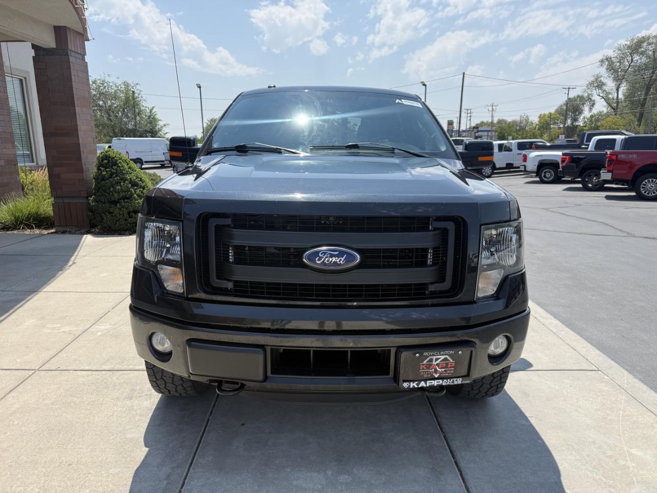 Ford F-150 4WD SuperCrew 145" FX4 2014