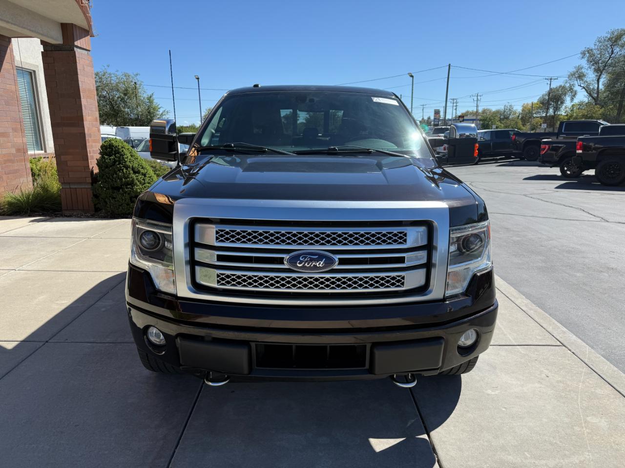 Ford F-150 4WD SuperCrew 145" Platinum 2014