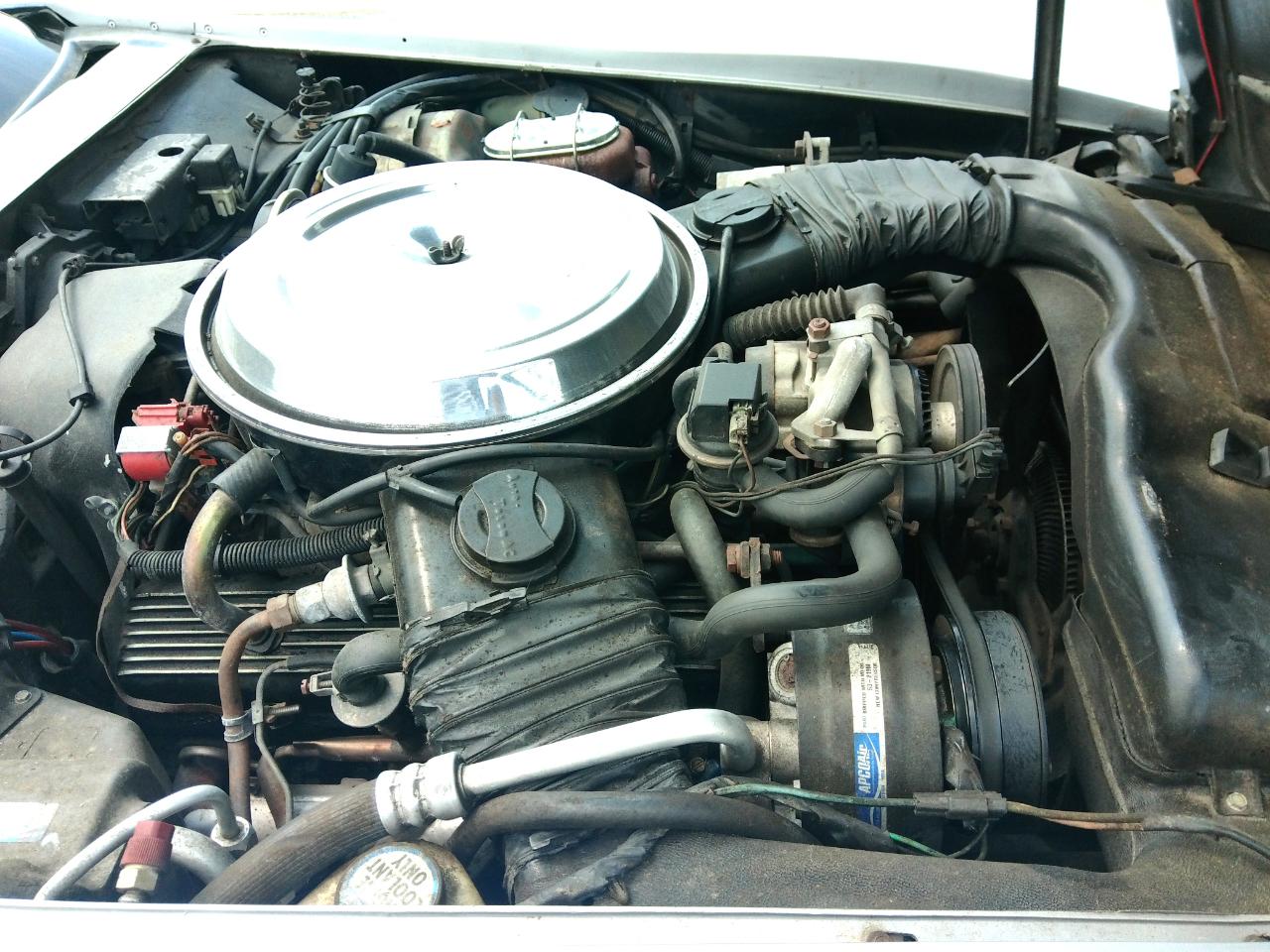 Chevrolet Corvette 2dr Coupe 1981