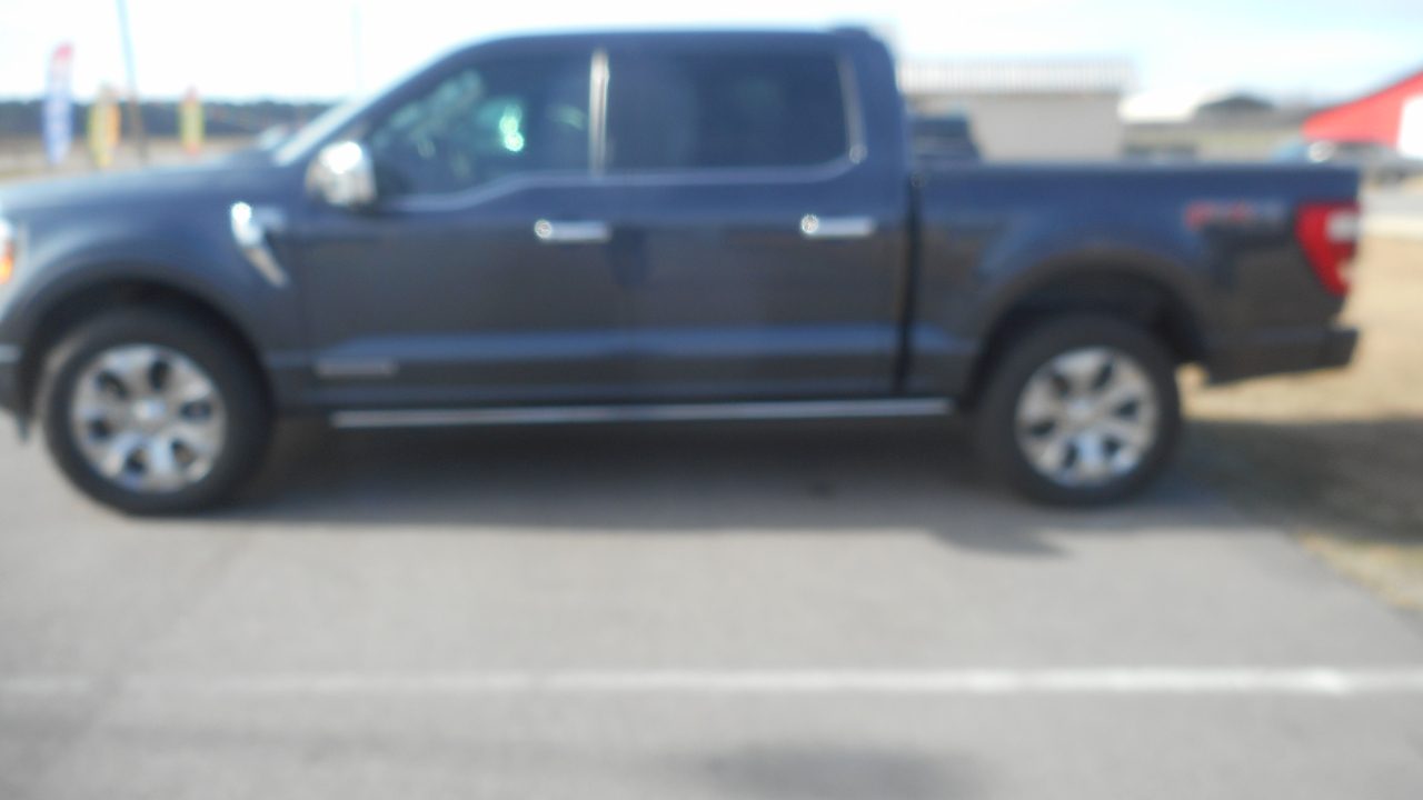 Ford 1/2 Ton Truck 2023