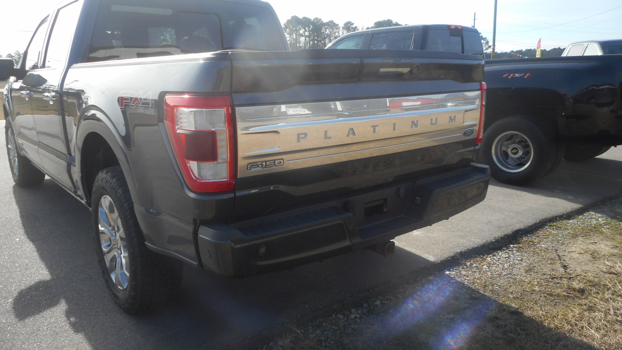 Ford 1/2 Ton Truck 2023