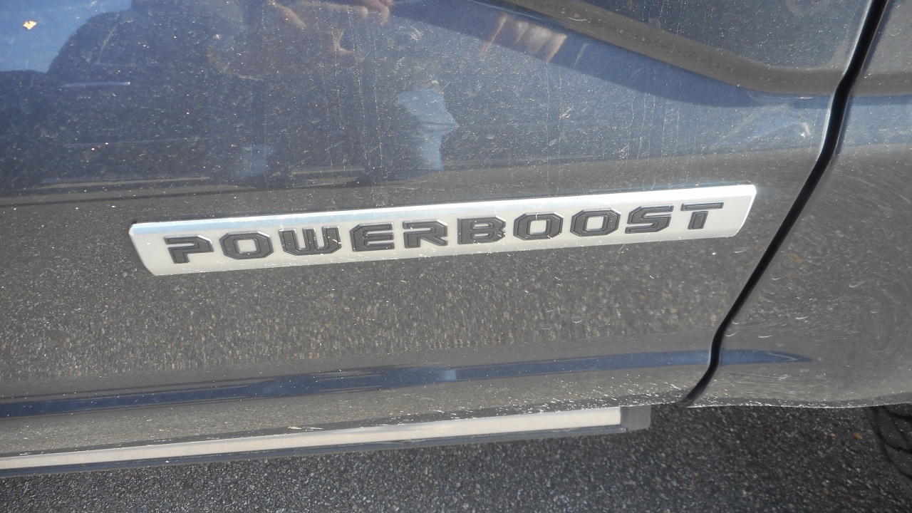 Ford 1/2 Ton Truck 2023