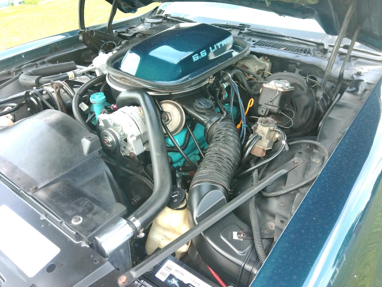 Pontiac Firebird Trans Am  1979