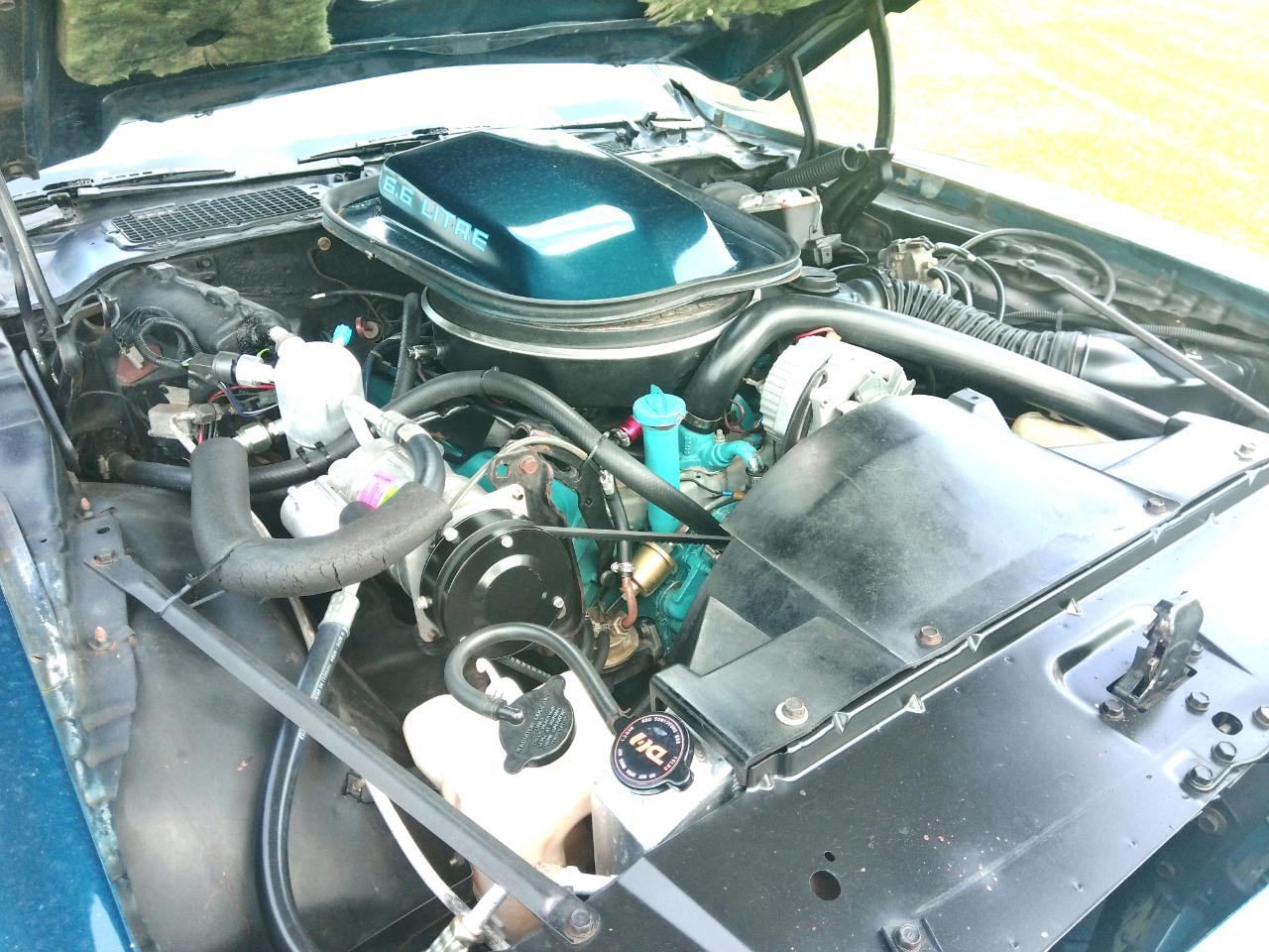 Pontiac Firebird Trans Am  1979